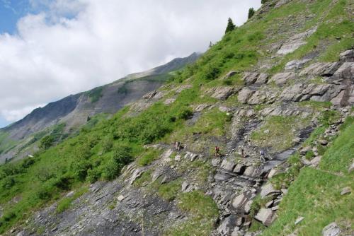 DSC_0034 - Copie