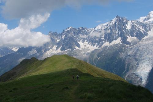 DSC_0776 - Copie