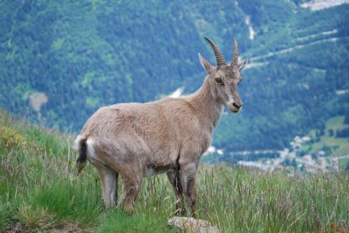 DSC_0814 - Copie