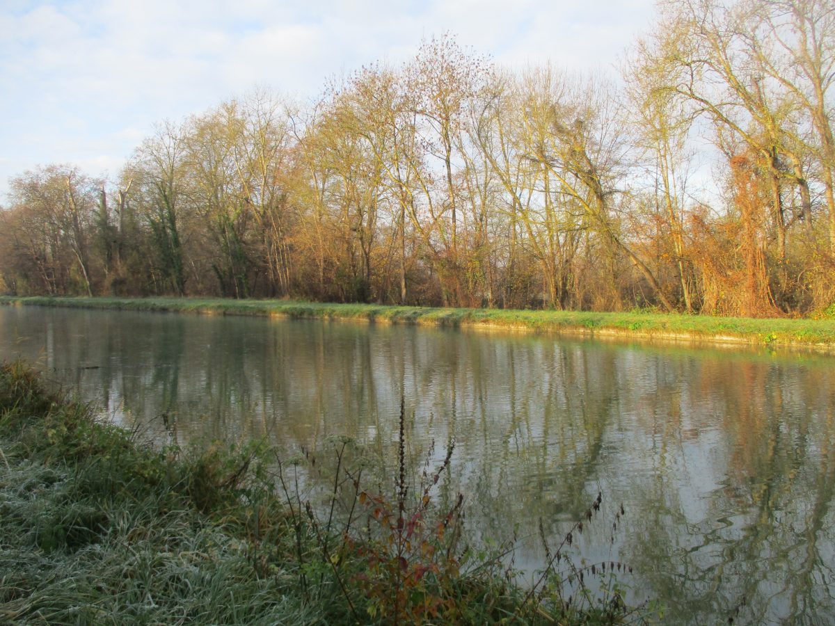Balade à Pied Le Long Du Loing Le long du Loing – Rando Évasion Découverte