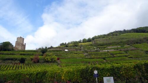 2020-10 Vosges (JP)-351