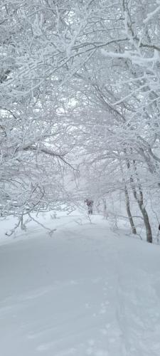 IMG-20230124-WA0033