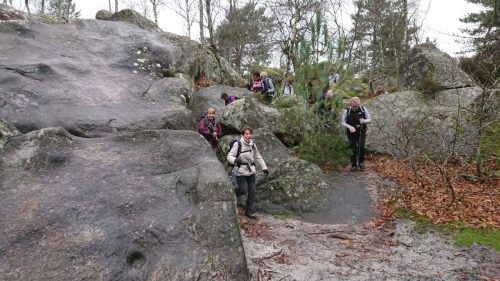IMG-20251210-WA0005