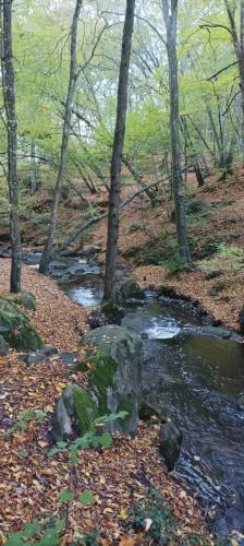 IMG_20221026_092936 (2)