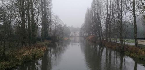 IMG_20250115_120756